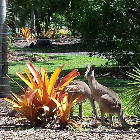 Bluegrass Bnb Bundaberg Extérieur photo